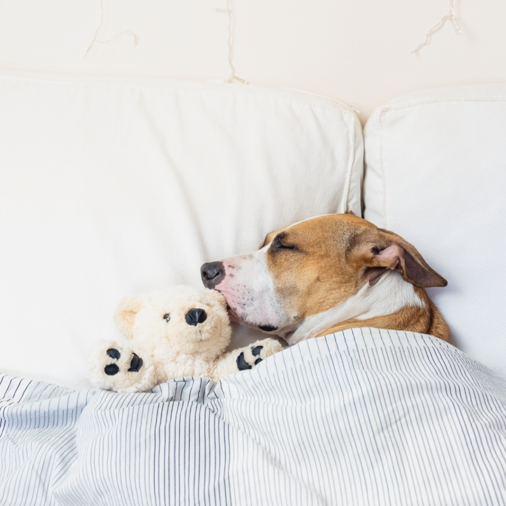 meditazione per dormire